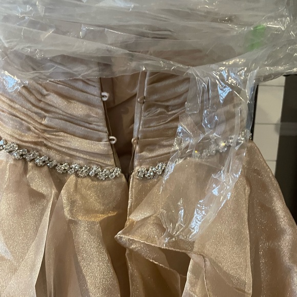 Angela & Alison Prom Dress, Style 21031 Toffee, Size 10 - Picture 8 of 8